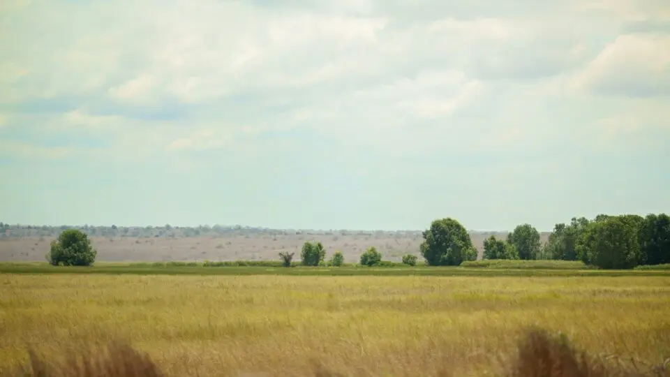 Agronegócio Angola Brasil