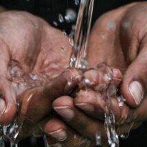 Imagem referente a matéria