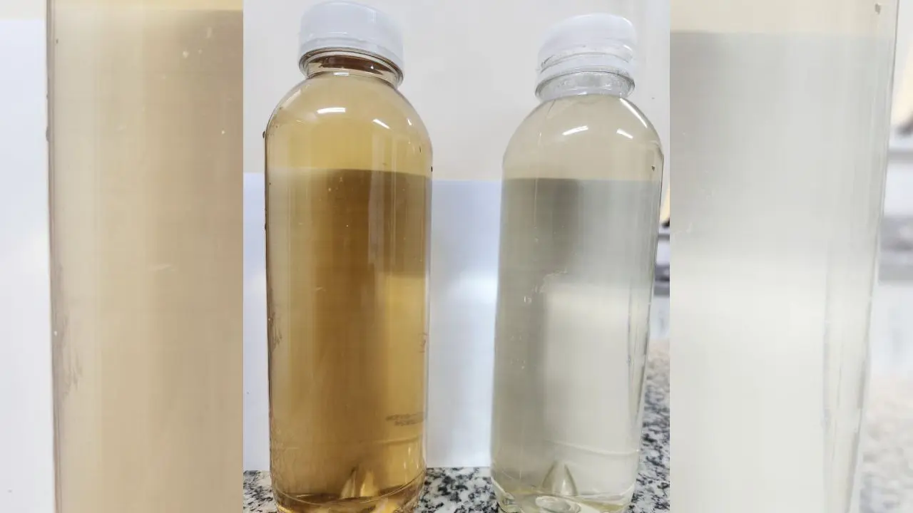 cerveja feita a partir de dejetos de suínos