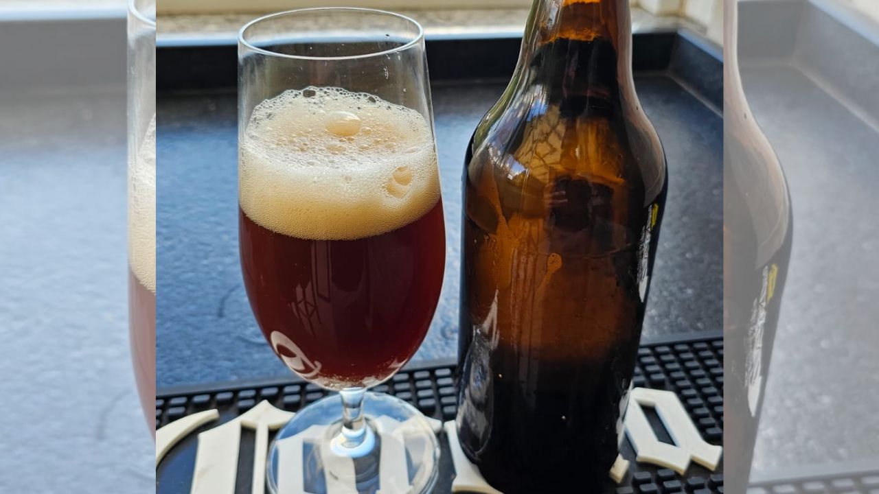 Pesquisadores não colocaram a bebida à venda: produto ficou disponível para degustação em eventos científicos, acompanhada de explicações técnicas e análises laboratoriais.