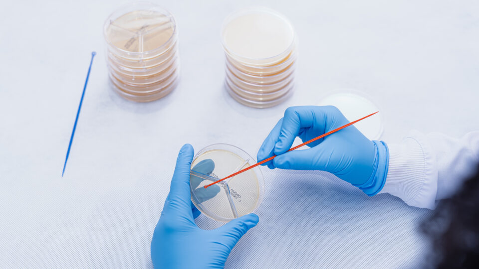Microbiologia aponta tendências de integração e inovação nas áreas industrial e ambiental para 2026