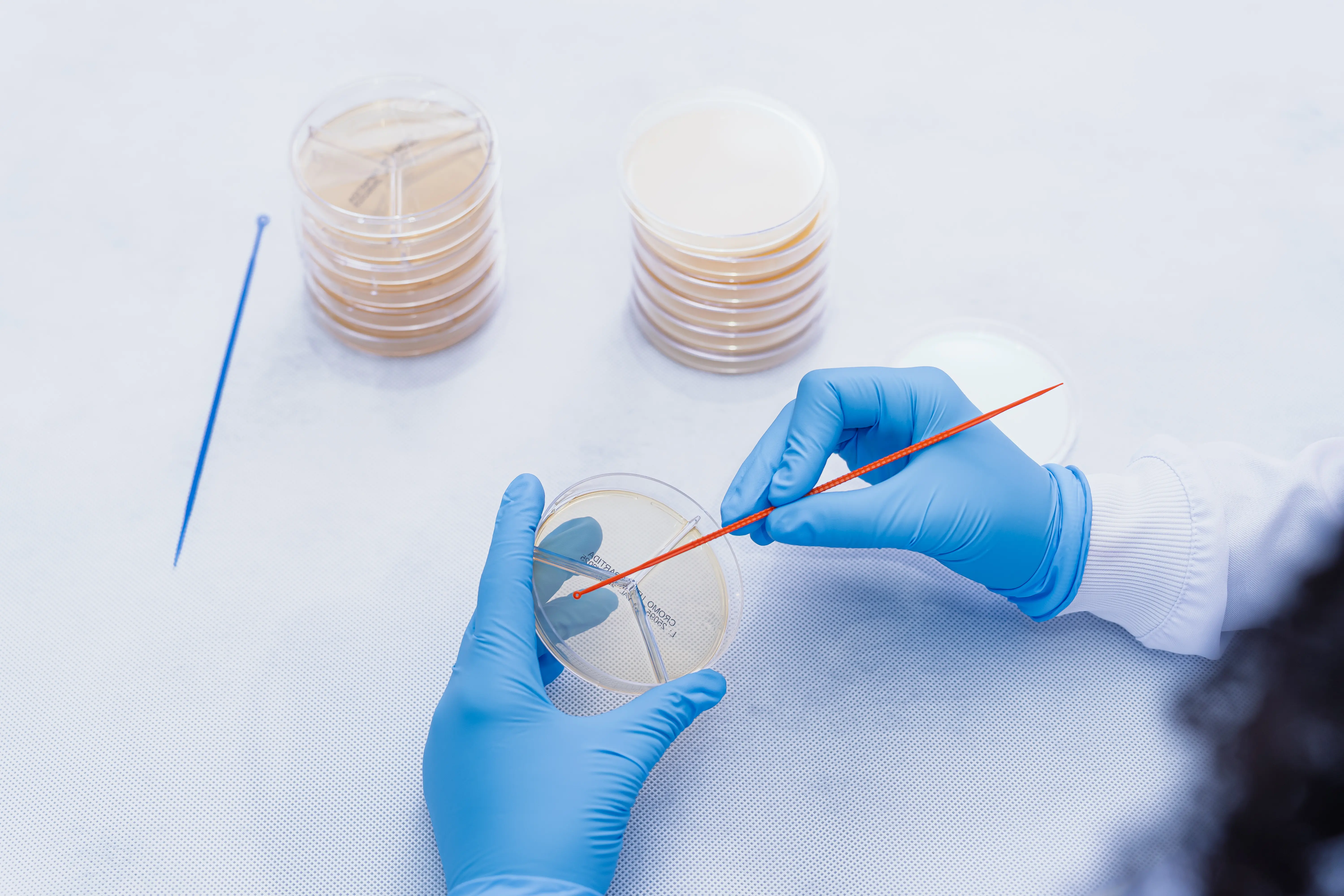 Micro-organismos estão presentes do diagnóstico de doenças à produção de alimentos, medicamentos e insumos essenciais. Em live do MICROmeio com a Kasvi, especialistas discutiram tendências, desafios e oportunidades da microbiologia para 2026.