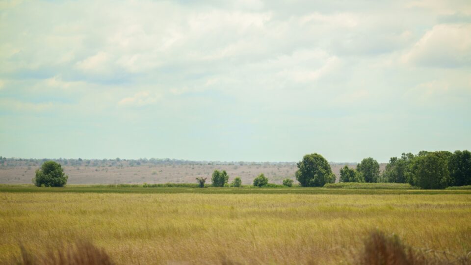 Angola cede 60 mil hectares para produtores rurais do Brasil