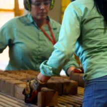 Efeitos escala 6x1 economia