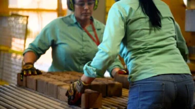 Efeitos escala 6x1 economia