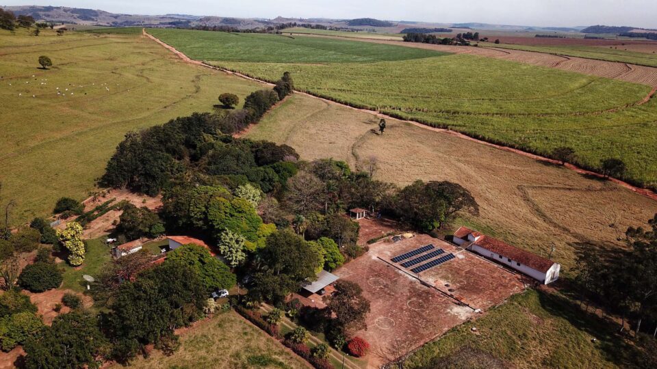 Vitória do agro extingue ação que tentava impor recuperação integral de áreas desmatadas após 1990
