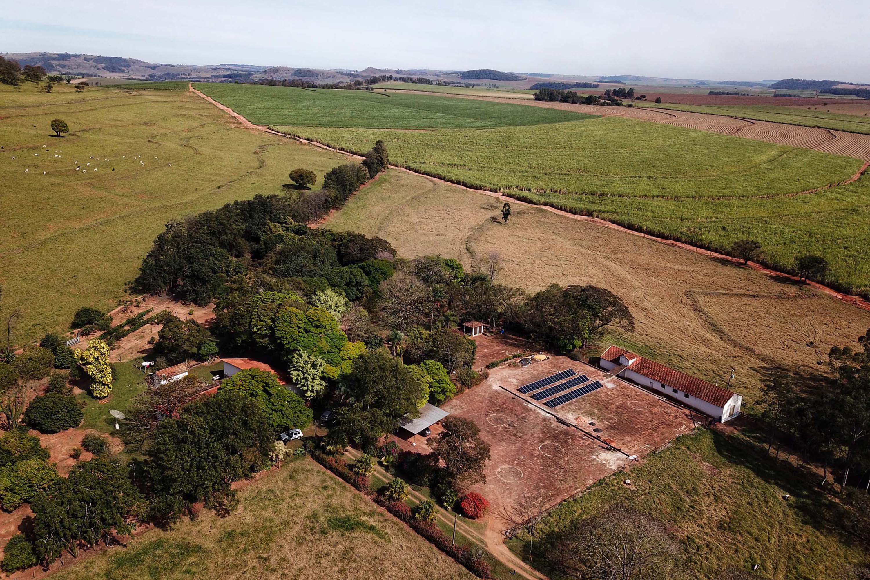 TRF-4 extingue ação sem julgar o mérito, mantém o Código Florestal no Paraná e reforça a segurança jurídica para produtores e setor florestal.