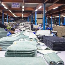 Imagem referente a matéria