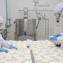 Estrutura do laboratório de queijos finos do Biopark integra capacitação técnica e inovação aplicadas à cadeia leiteira do Paraná. Imagem referente a matéria