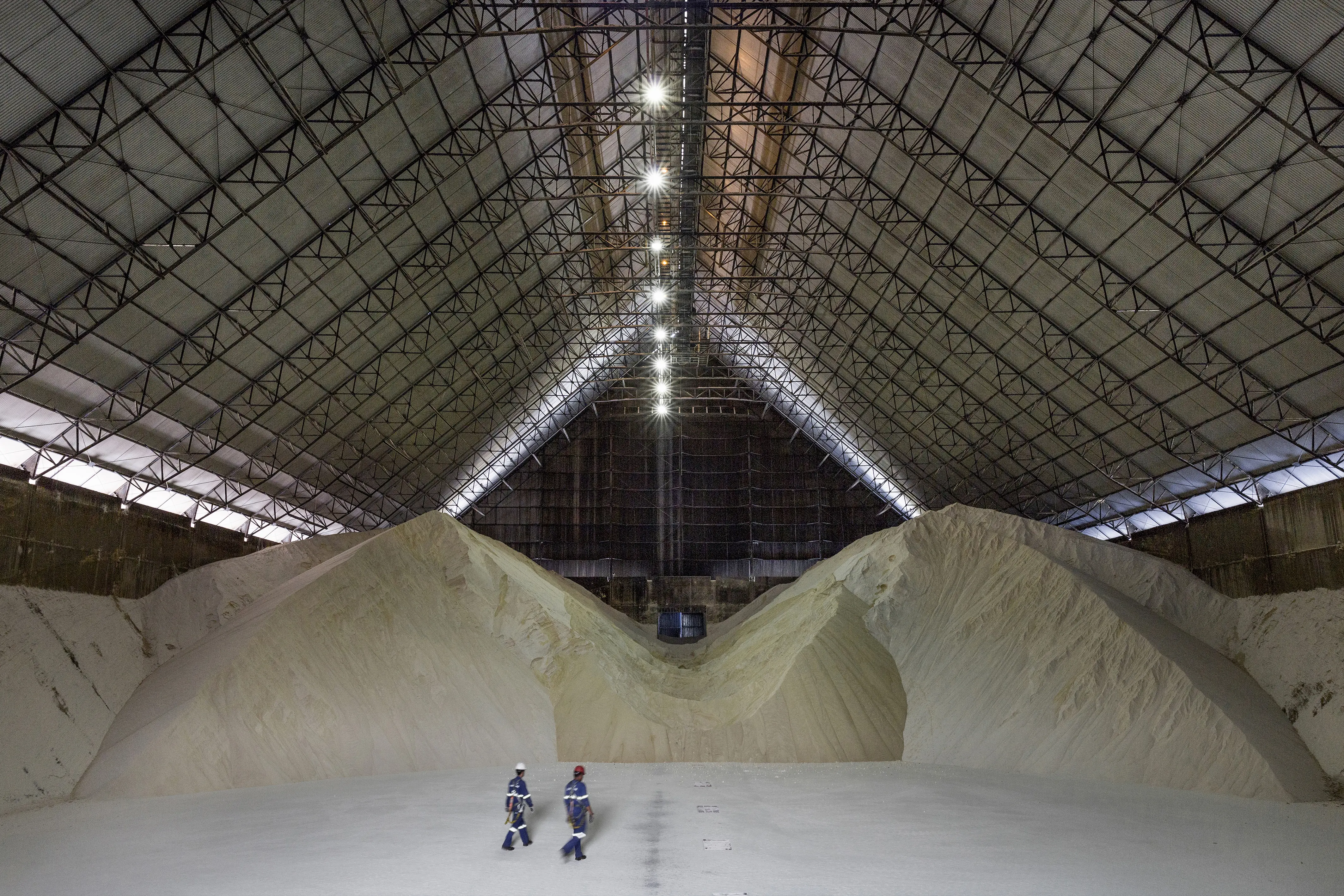 Copersucar registra R$ 62,3 bilhões em receita na safra 24/25, cresce em açúcar e etanol e aposta no biometano para expansão futura.