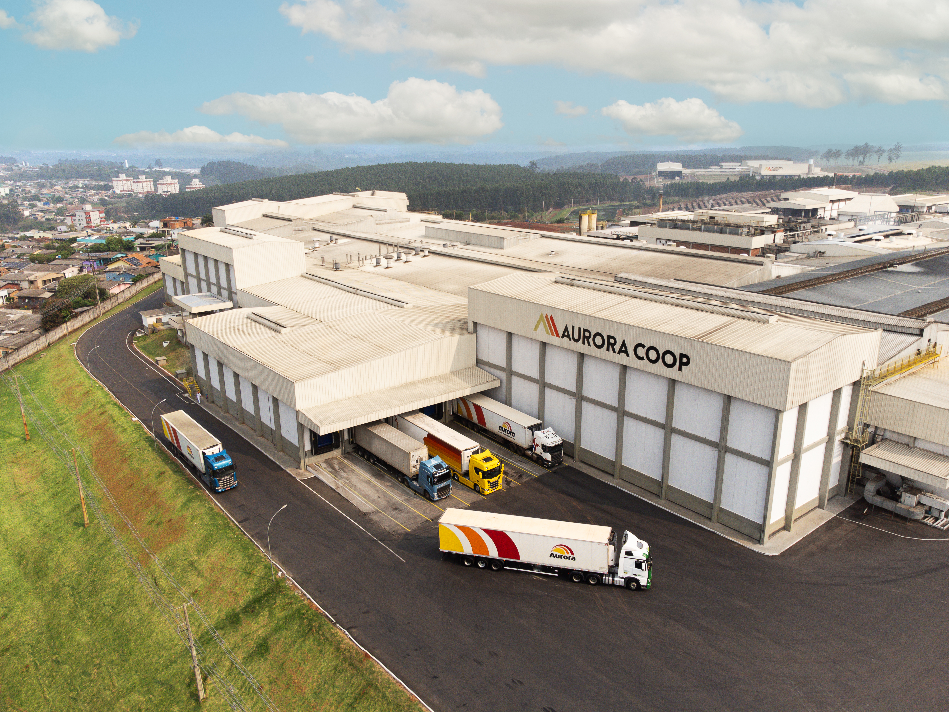 Aurora Coop fechou 2024 com faturamento bruto de R$ 24,9 bilhões, alta de 14,2%, e lucro líquido de R$ 880,5 milhões.