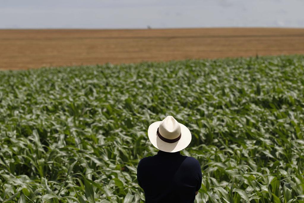 Inflação à vista? Como o conflito no Oriente Médio afeta o agronegócio brasileiro