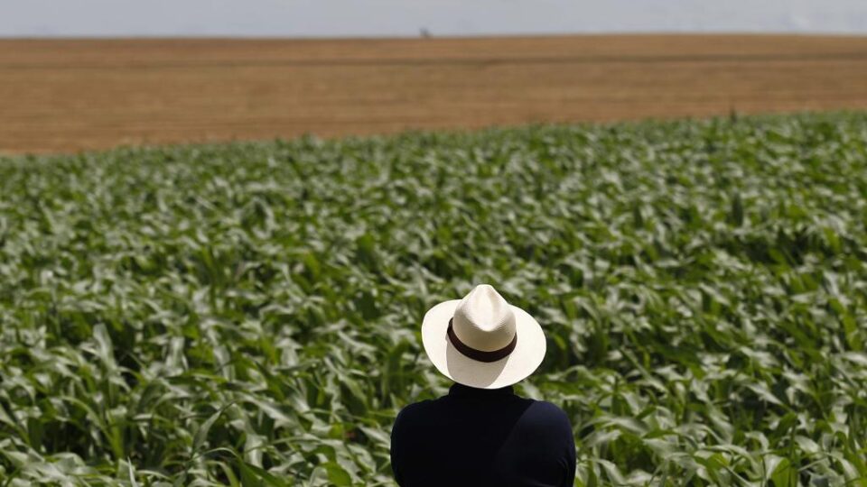 Como o conflito entre Irã e Israel afeta o agronegócio no Brasil?