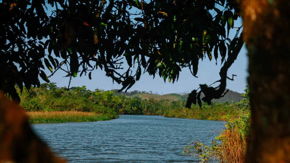 Pescadores deram a Garuva o título de “Pantanal do Sul”, após compararem as condições naturais da região às do Pantanal no Mato Grosso.