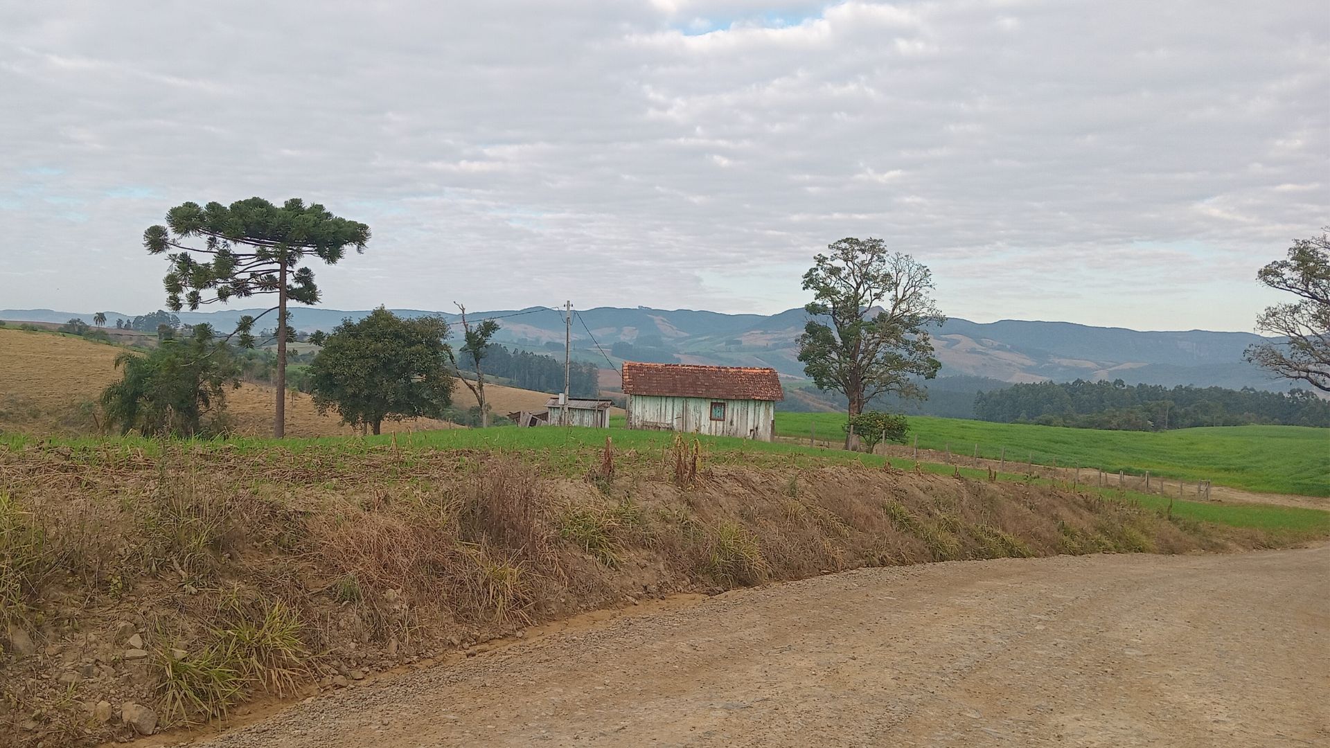 Daniel Vorcaro: cada um tem seu mistério, seu sofrer, sua ilusão.