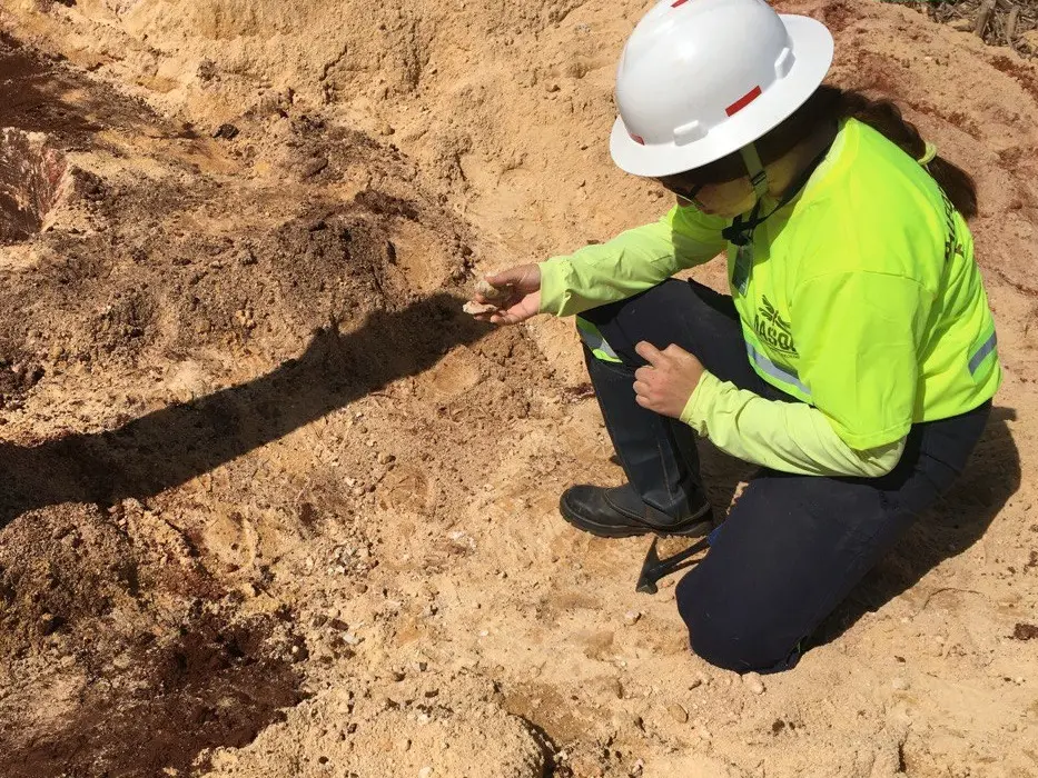 A abundância de fósseis encontrados na região dos Campos Gerais e do Norte Pioneiro ajuda cientistas a compreender como antigos ambientes marinhos deram lugar a paisagens atuais.