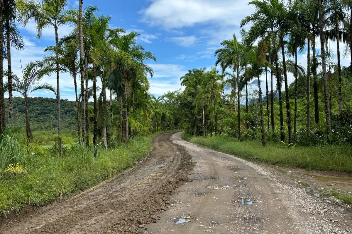 Enquanto o asfalto não sai, o acesso a Guaraqueçaba depende da PR-405, rodovia de chão mantida pelo governo estadual.