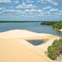 Imagem referente a matéria