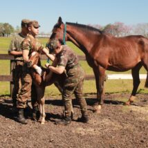 Imagem referente a matéria