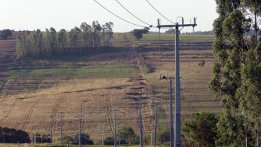 Imagem referente a matéria