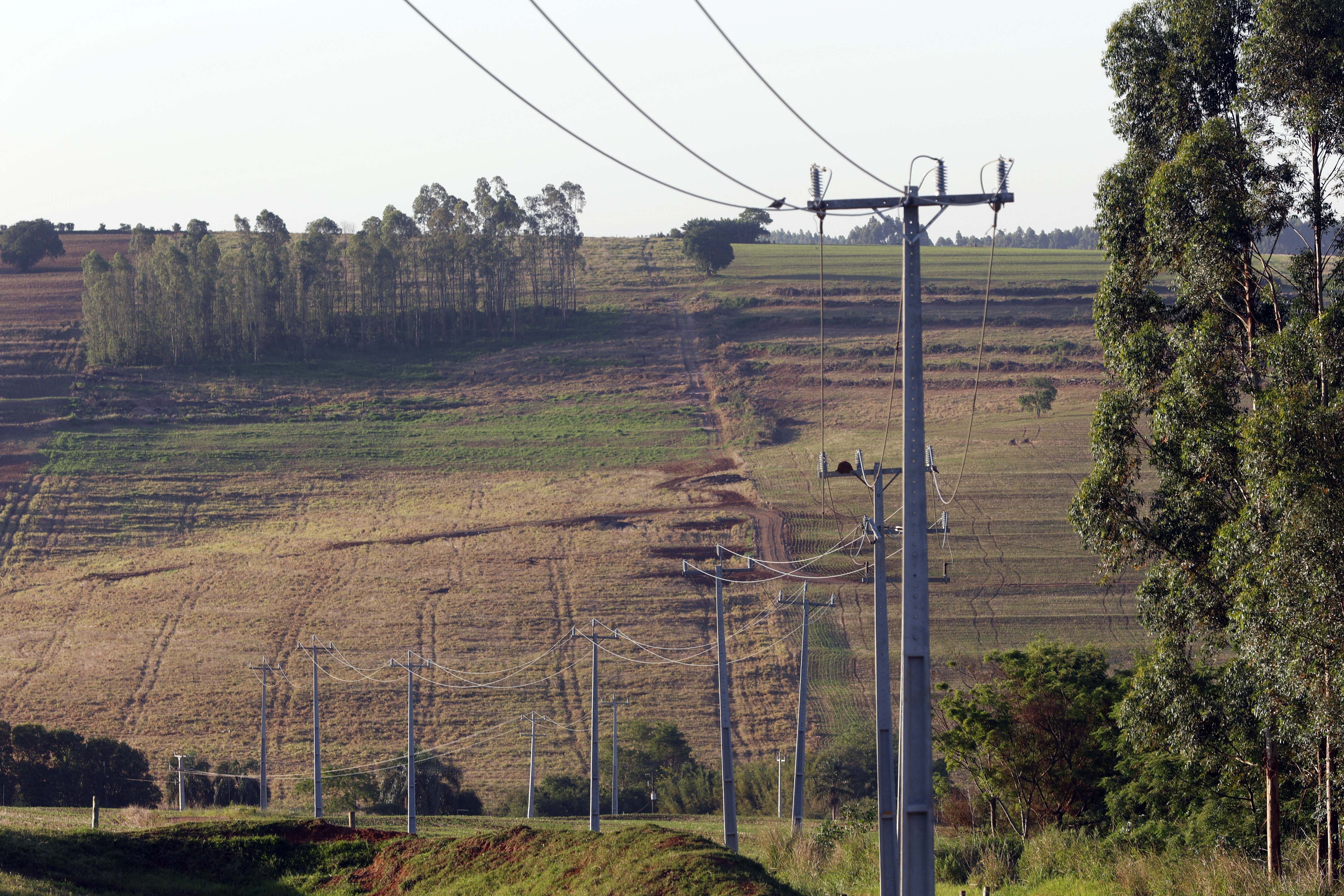 Indicadores da Aneel apontam queda da Copel no ranking de qualidade entre distribuidoras de energia do país.
