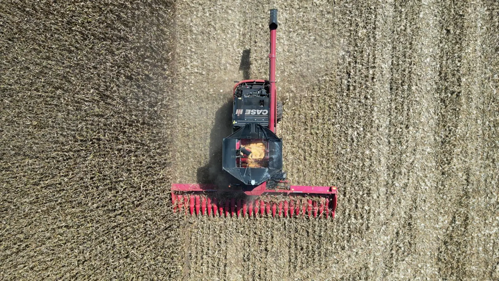 Produtores de Sorriso investem em sementes geneticamente melhoradas, máquinas agrícolas e inovação para ampliar a produtividade.