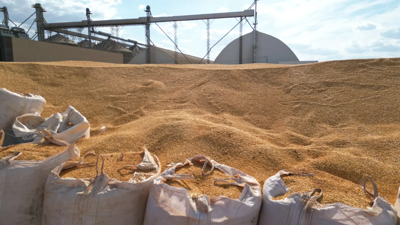 Produção de milho no Brasil alcança 141,7 milhões de toneladas e registra recorde histórico.