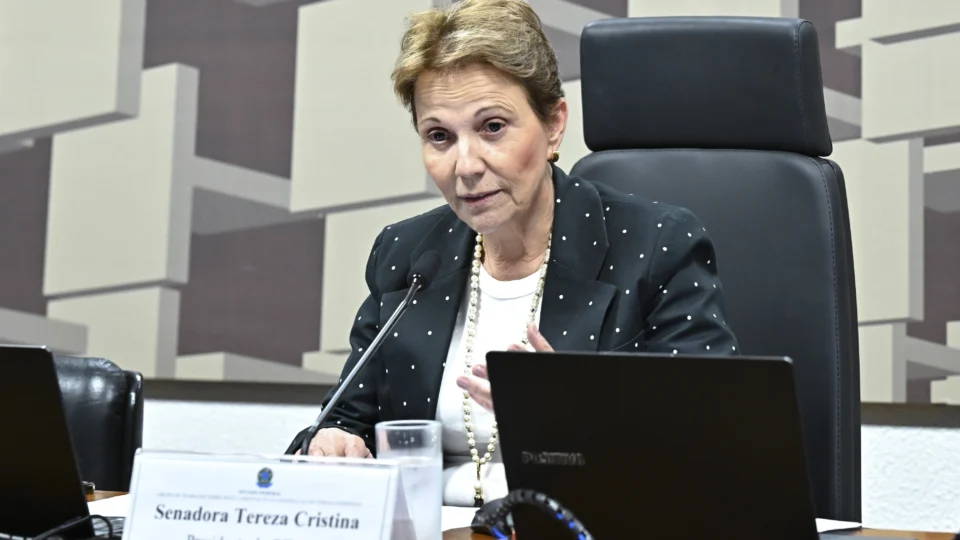 Tereza Cristina foi ministra da Agricultura durante o governo Bolsonaro. 