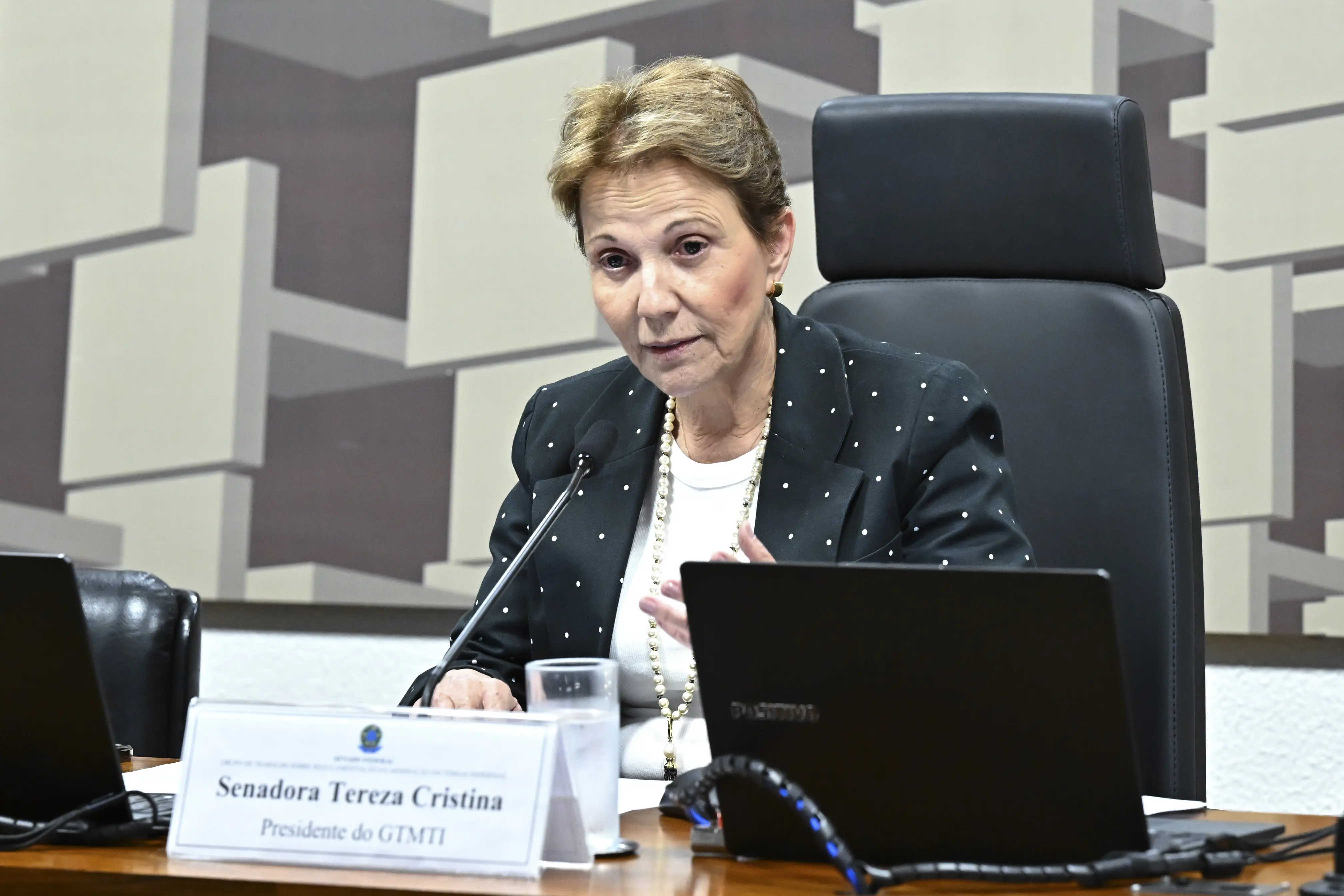 Tereza Cristina foi ministra da Agricultura durante o governo Bolsonaro. 