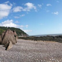 Imagem referente a matéria