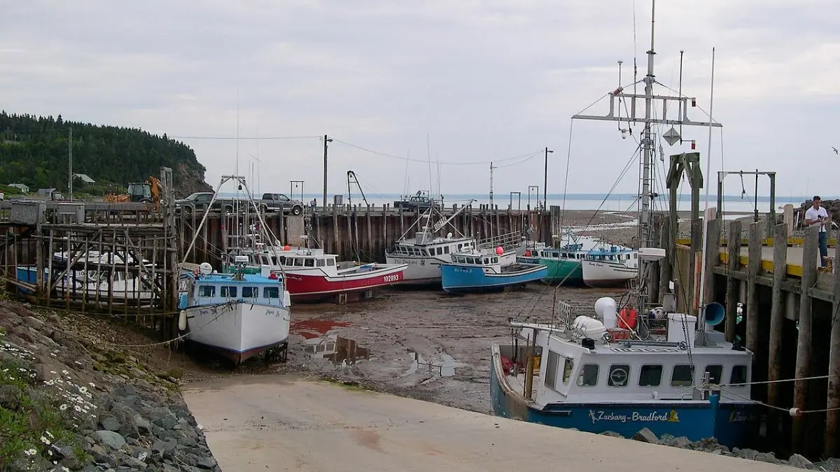 Bay of Fundy, where the sea disappears twice a day.