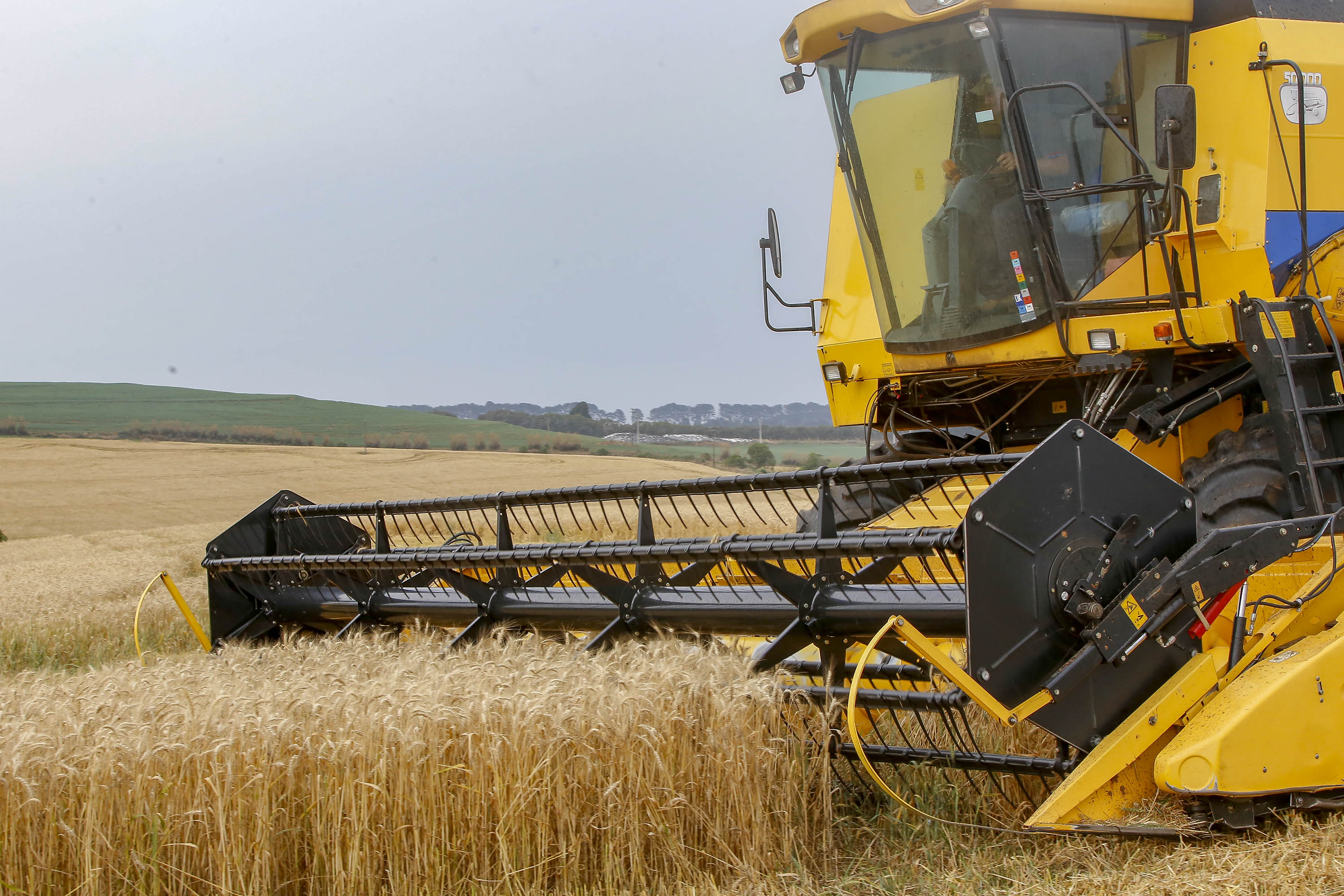 Mesmo com avanço tecnológico, setor aponta limites para compensar impactos do fim da escala 6×1 no campo.