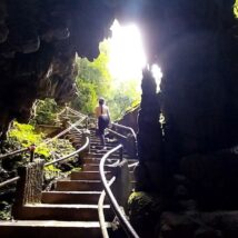 Imagem referente a matéria