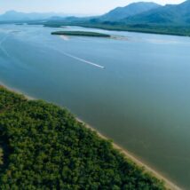 Imagem referente a matéria