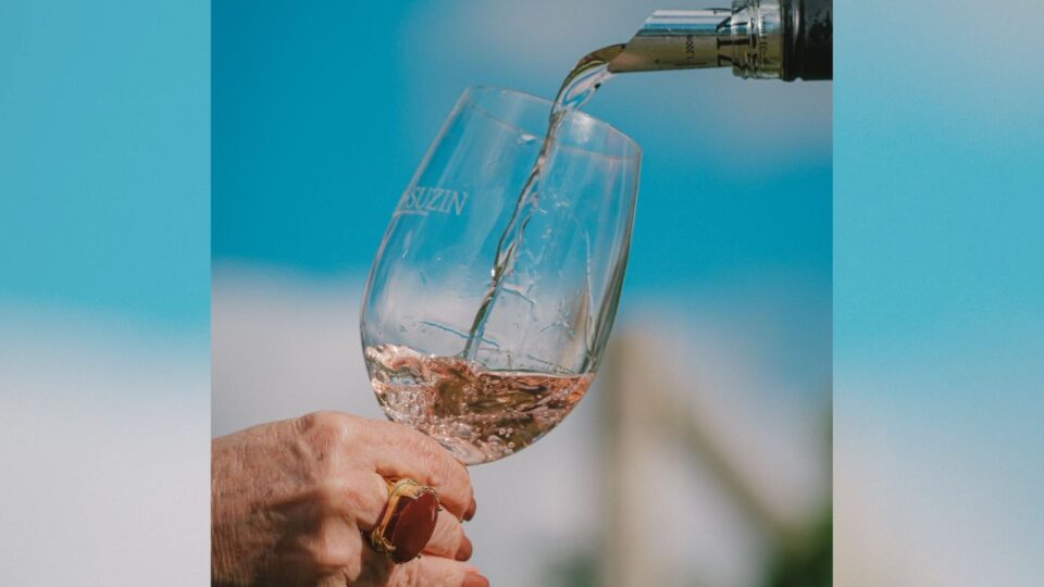 Como os vinhos de altitude estão impulsionando a Serra catarinense?