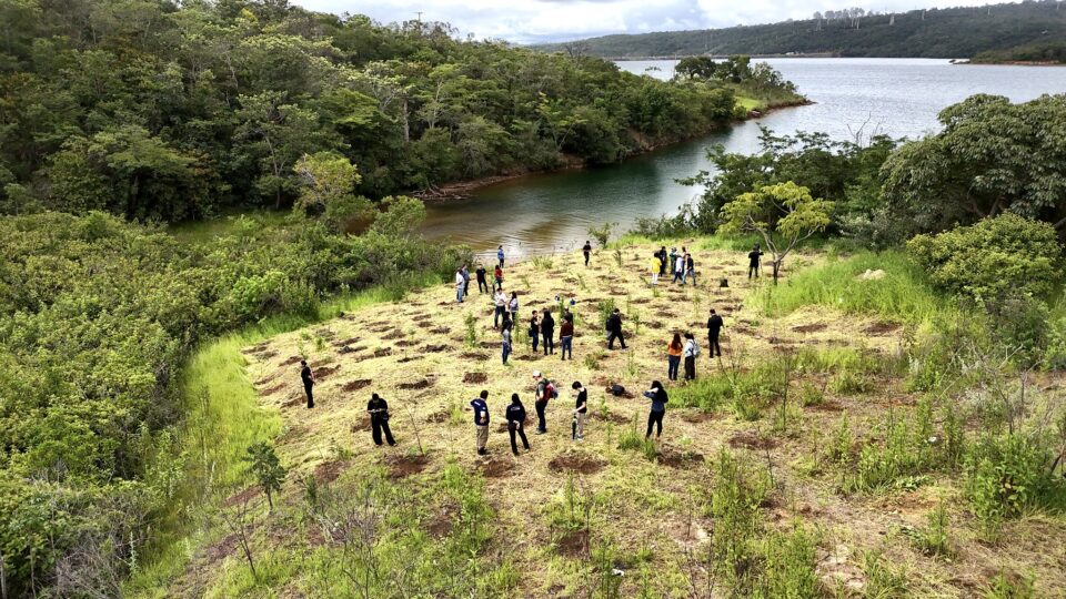 Justiça do DF proíbe uso de área ambiental para socorrer BRB