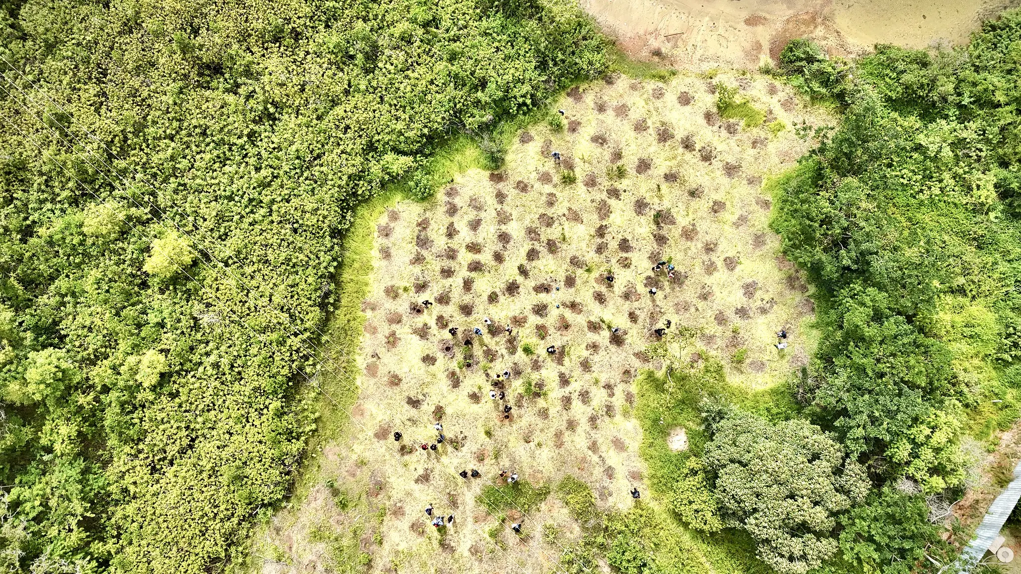 Liminar de vara ambiental usa palavras duras contra gestão do BRB por envolvimento com o Banco Master. 