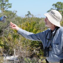 Biólogo Ehrlich: previsões catastróficas não se confirmaram. Imagem referente a matéria