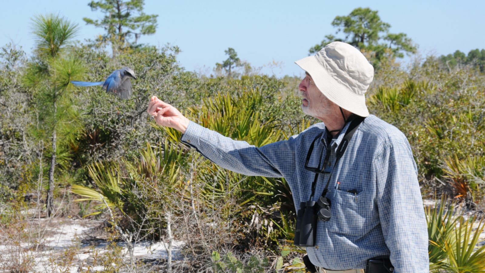 Biólogo Ehrlich: previsões catastróficas não se confirmaram.