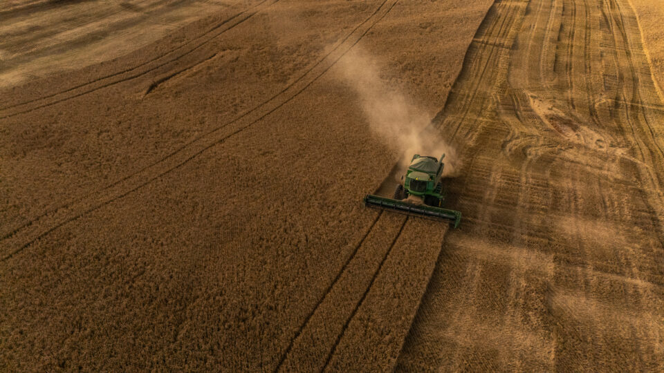 Produção de cevada cresce, mas queda no consumo de cerveja acende alerta na indústria