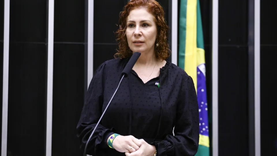 Pedido do governo brasileiro foi aprovado e Zambelli deve vir ao Brasil para cumprir pena na penitenciária da Colmeia.