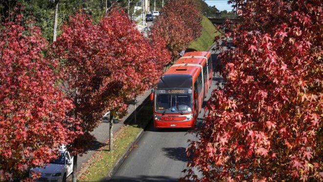 Por que Curitiba é o destino preferido para quem busca emprego e qualidade de vida?