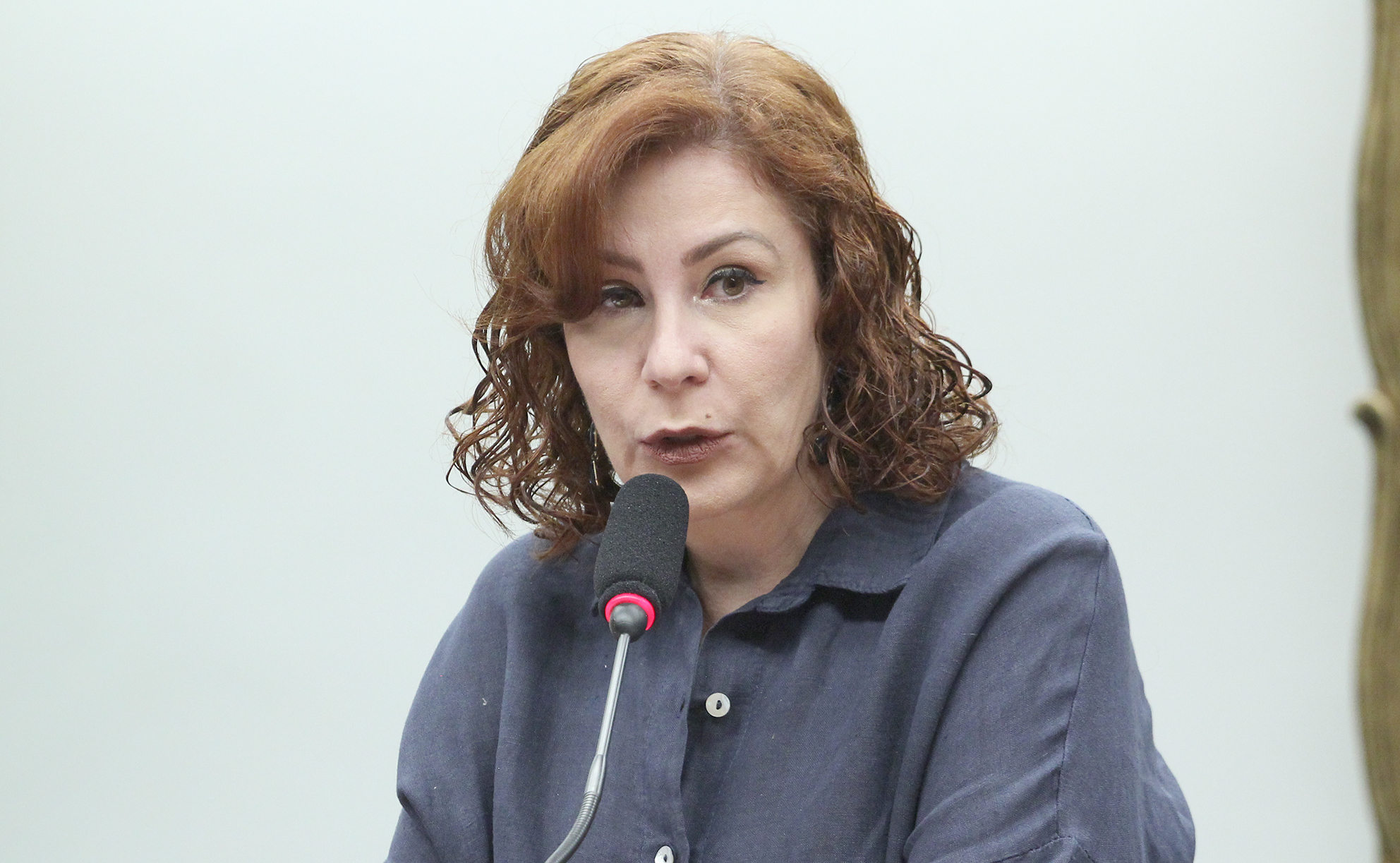 Rita Zambelli lembra que decisão autorizando entrega às autoridades brasileiras ainda admite recurso e critica “seres que apoiam esse regime”