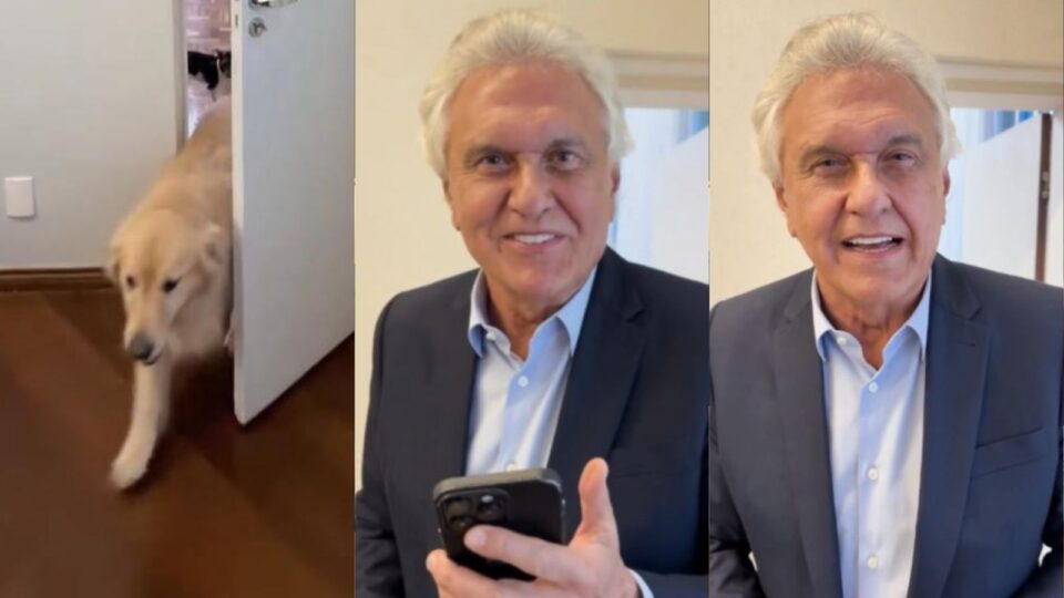 Caiado reage à fala de Lula sobre pets e ataca o governo