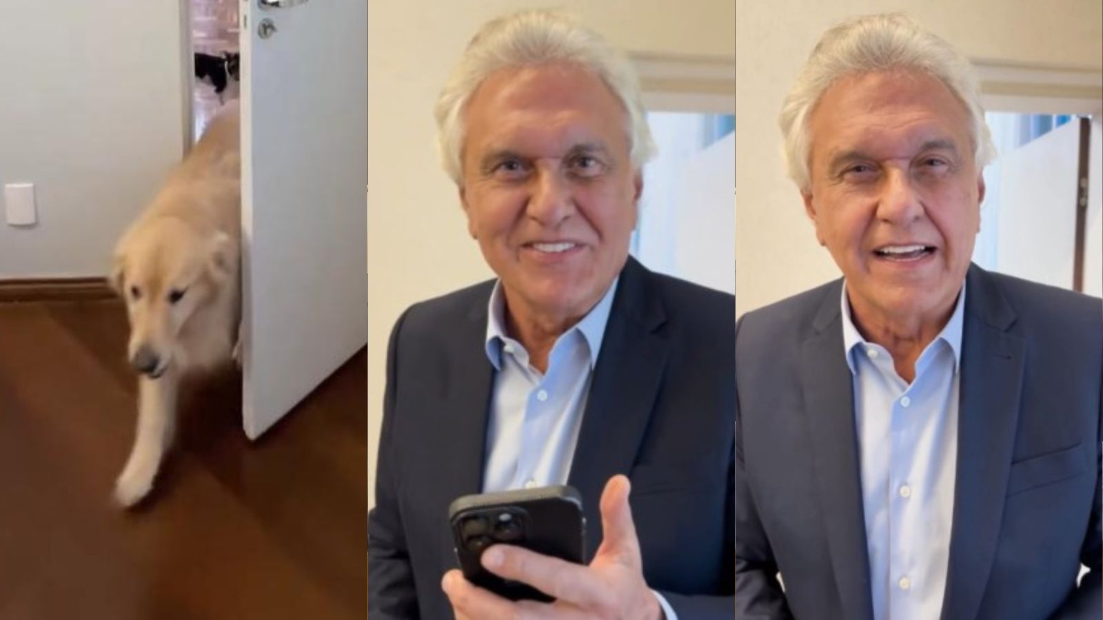 Caiado reage à fala de Lula sobre pets e ataca o governo