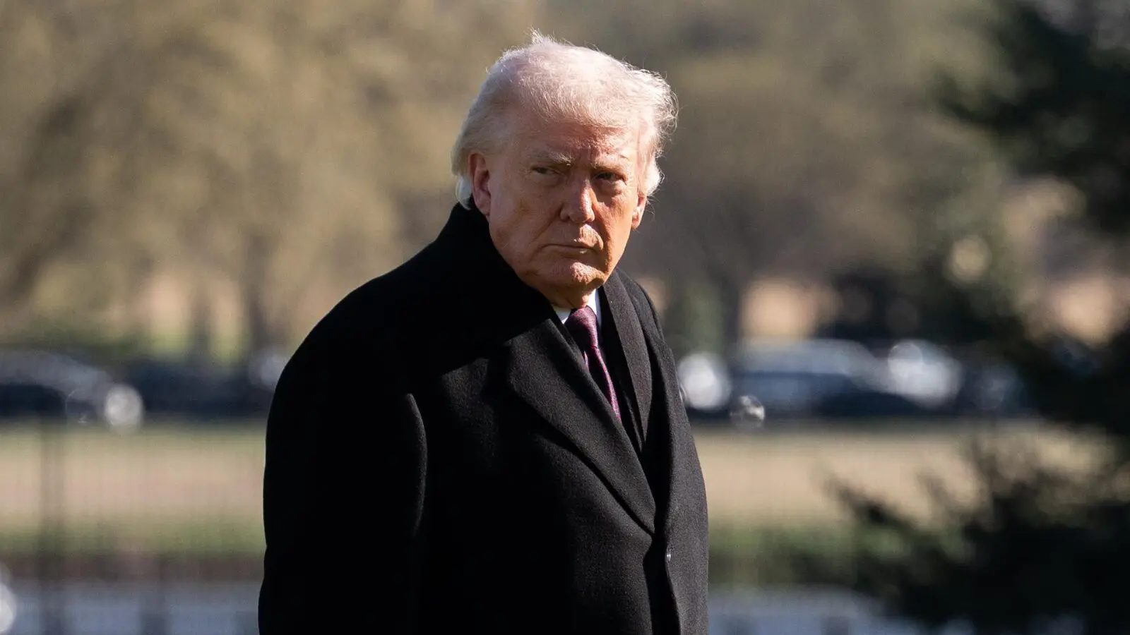 Donald Trump: direita brasileira tem o que aprender com a gestão do presidente americano.