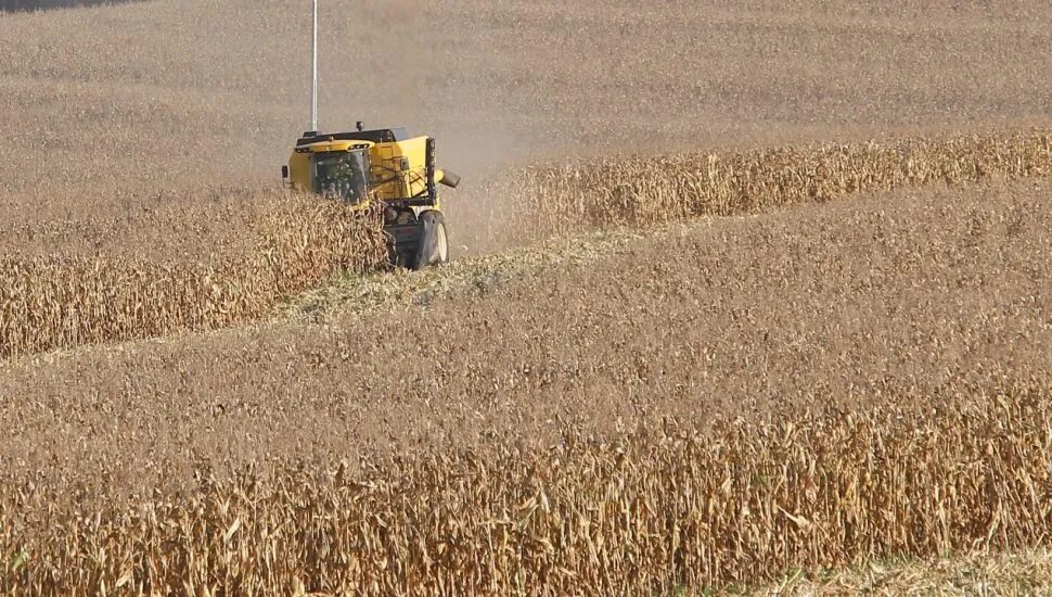 Estiagem afeta 11 cidades do Paraná e acumula prejuízo de R$ 438 milhões.