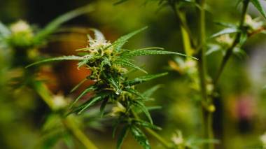 Imagem referente a matéria