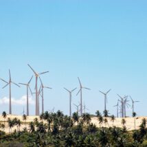 Energia eólica, gerada a partir da força dos ventos, tem aumentado participação na matriz brasileira Imagem referente a matéria