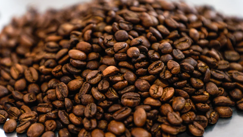 Selo de Denominação de Origem reconhece qualidade única do café de Mandaguari e valoriza produção regional.